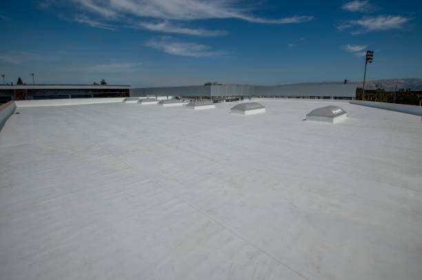 Best Chimney Flashing Repair  in Chanute, KS