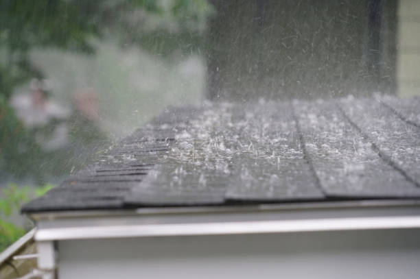 Best Solar Panel Roofing Installation  in Chanute, KS