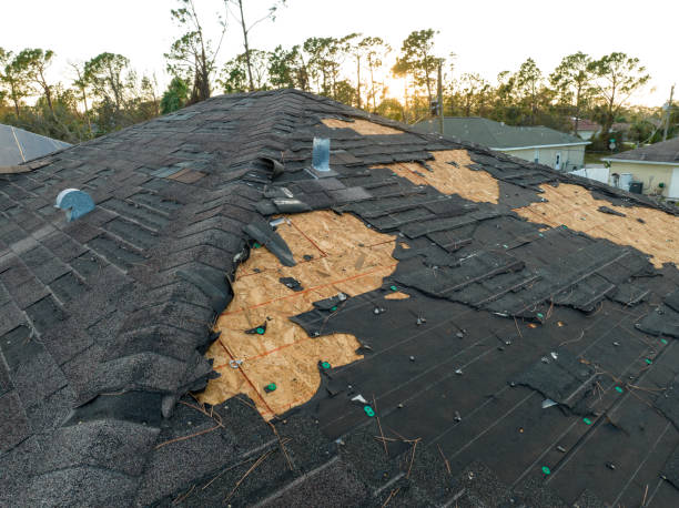 Best Metal Roofing Installation  in Chanute, KS